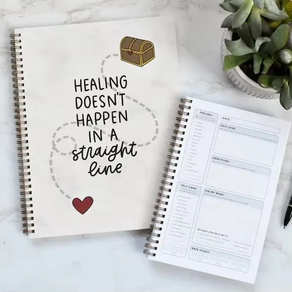 Intentional Living Shop 13 Straight Line Mental Health Journal